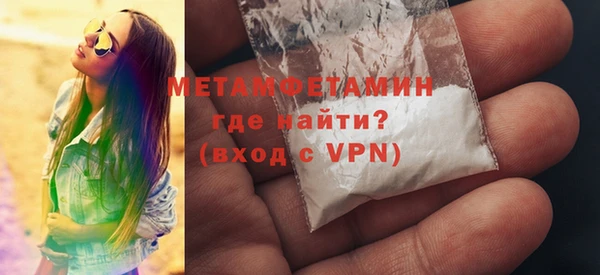 индика Богородск