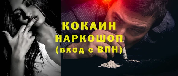 индика Богородск