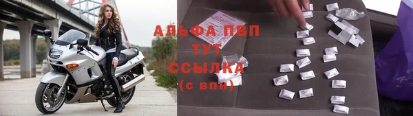 индика Богородск