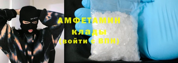 индика Богородск