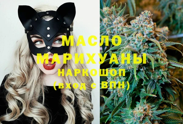 индика Богородск