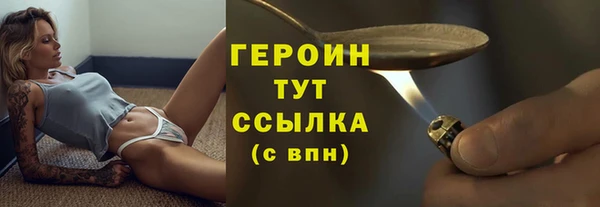 индика Богородск