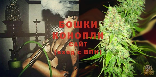 индика Богородск