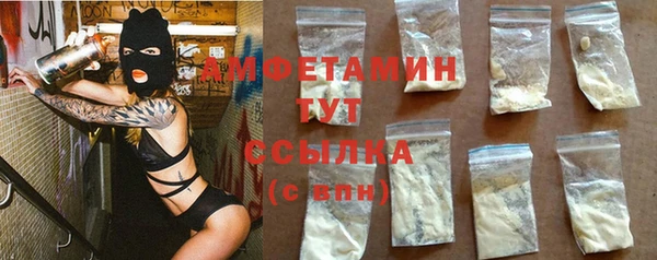 индика Богородск