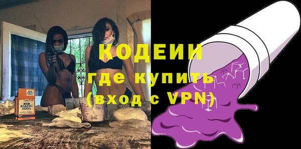 индика Богородск