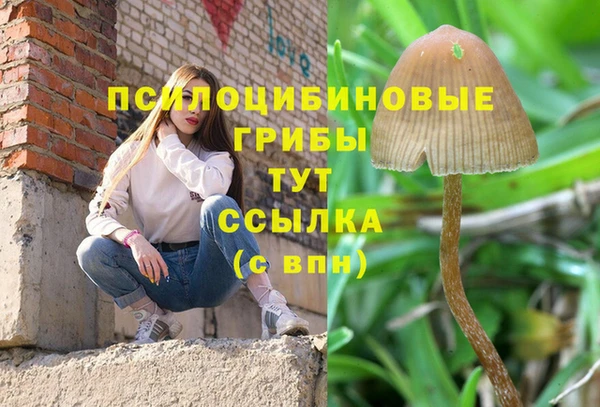 наркотики Богданович