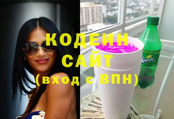 индика Богородск