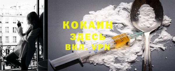 индика Богородск