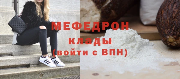 индика Богородск