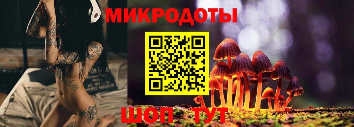 Псилоцибиновые грибы Cubensis Воскресенск