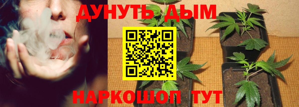 Марихуана White Widow Воскресенск